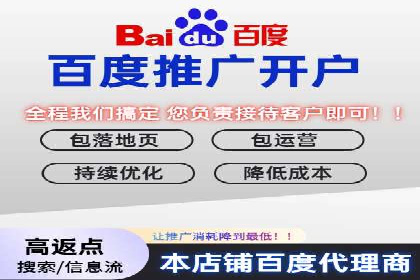 SEM推广策略：成功案例分享与启示